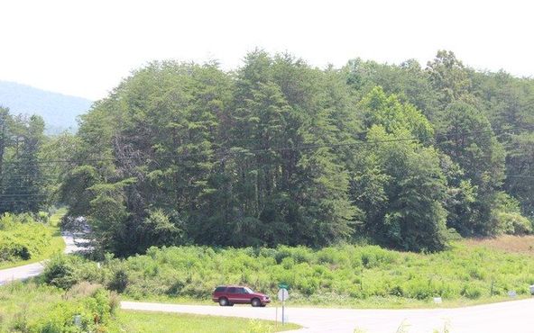 HWY 64 E-COLD BRANCH: Hwy 64 E-Cold Branch, Hayesville, NC 28904